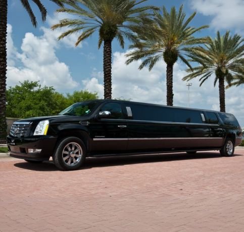 Black stretch limousine parked near palm trees